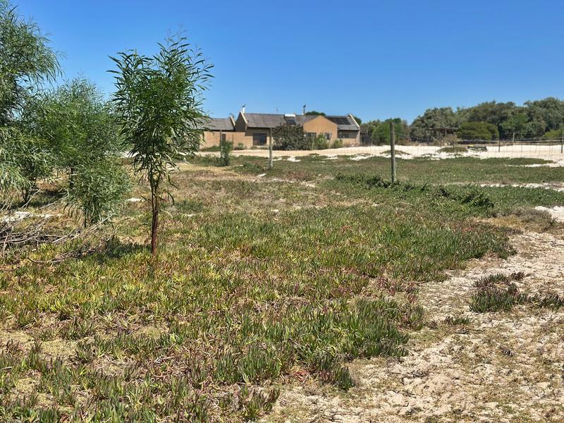 5 Bedroom Property for Sale in Klein Dassenberg Western Cape